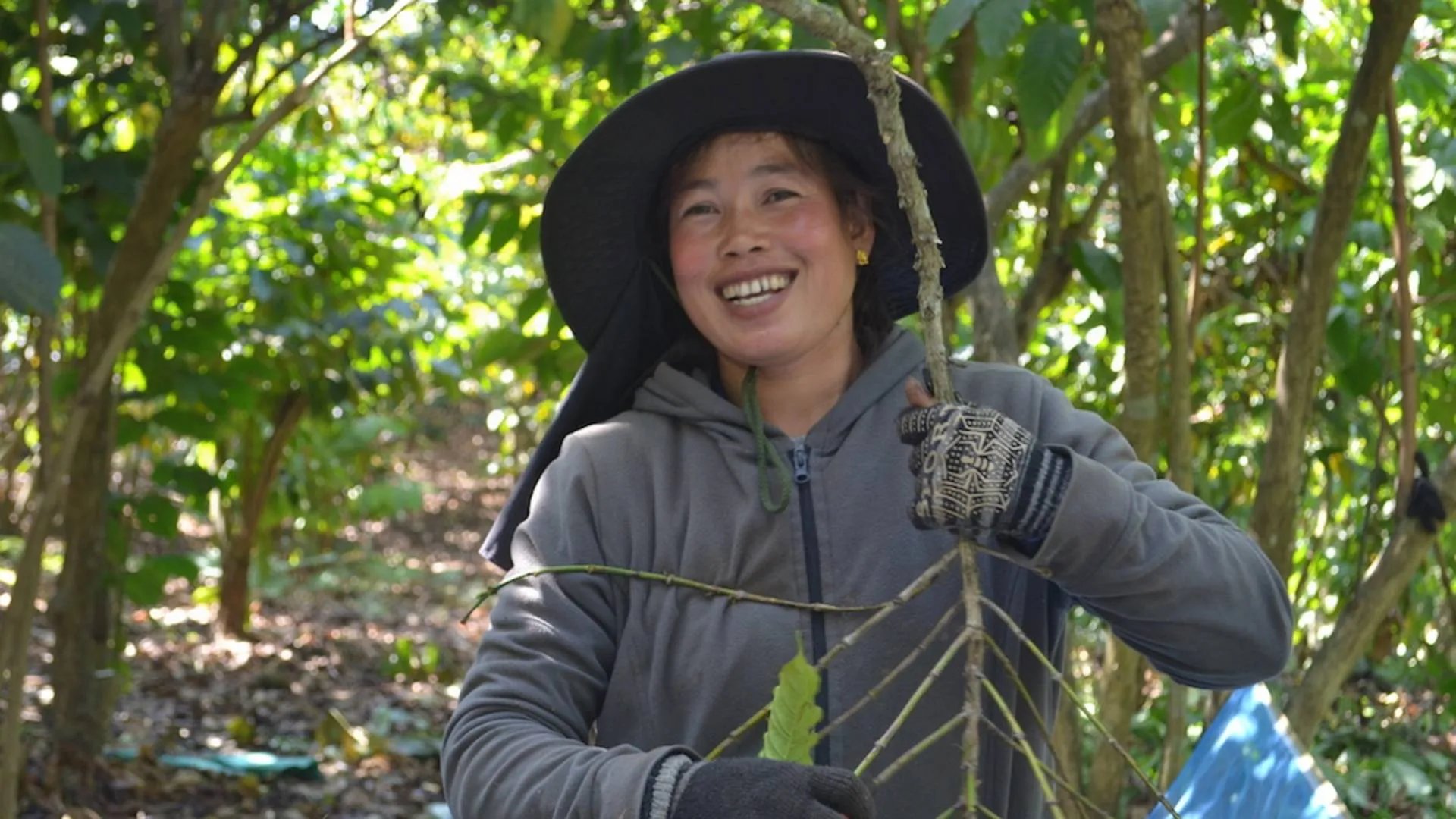 FødevareWatch Coffee company gets a two-digit million investment in order to accelerate even more FødevareWatch Coffee company gets a two-digit million investment in order to accelerate even more