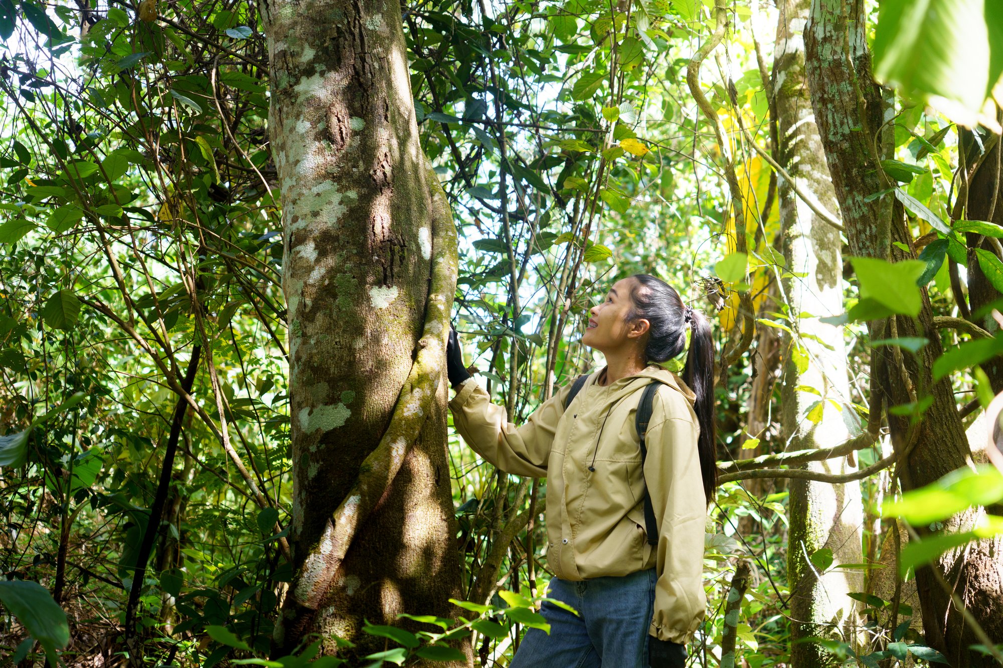 Impect Team (Tree inventory)_Nampot_Buffer_Zone_15