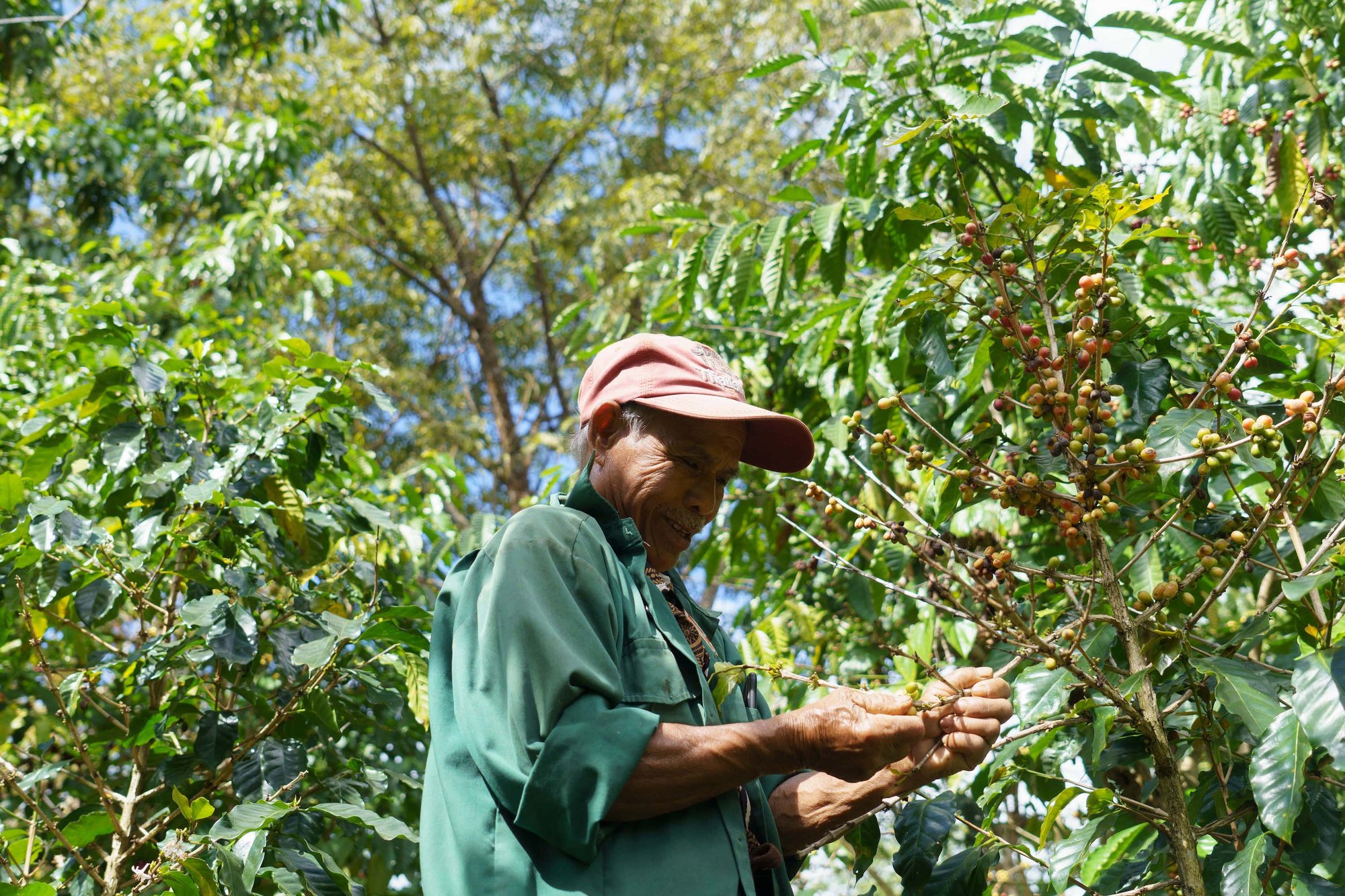 Mr. Khamsai-Huayjied-Slow Farmers