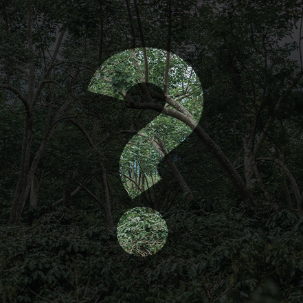 Question Mark Slow Roots Square