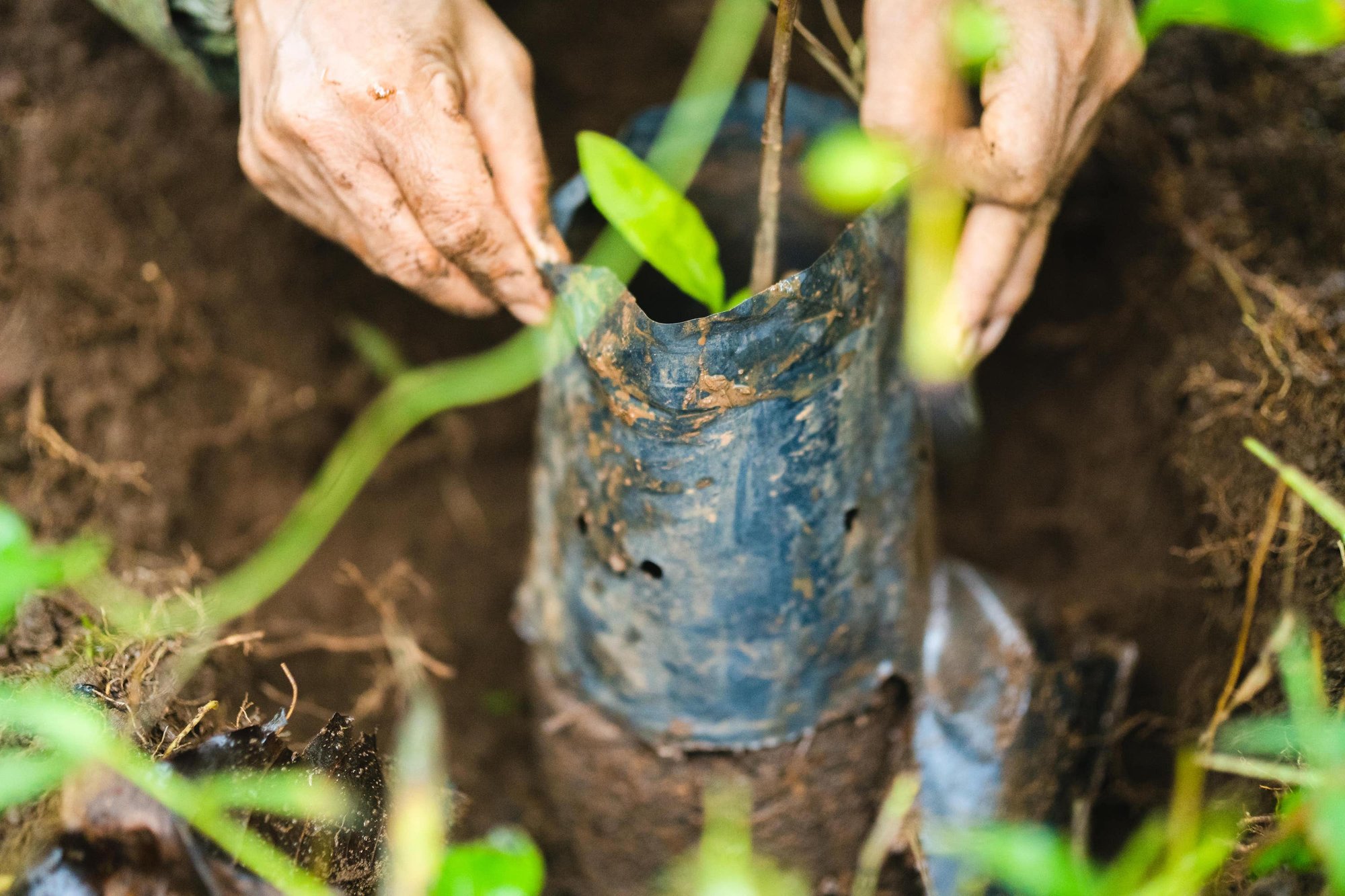 Slow Farmers Diversifying income