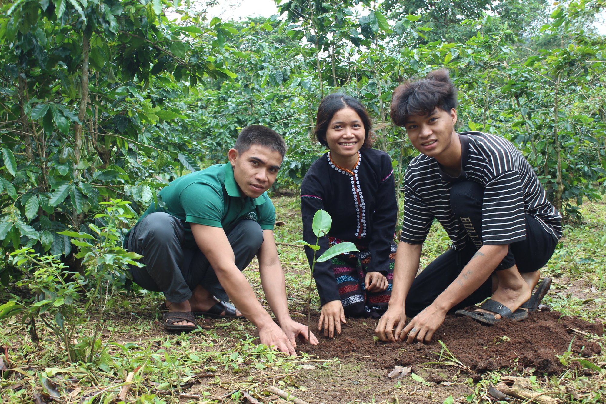 Field staff in Cheng village guide coffee farmer Ho Thi Hong on planting shade trees in Quang Tri, Vietnam.