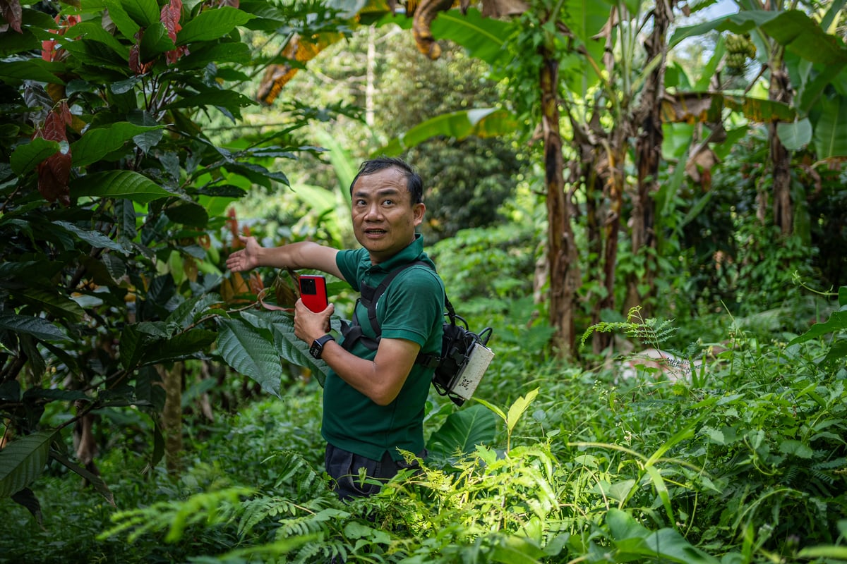 Our team recorded tree species, trunk diameter and density to estimate aboveground biomass