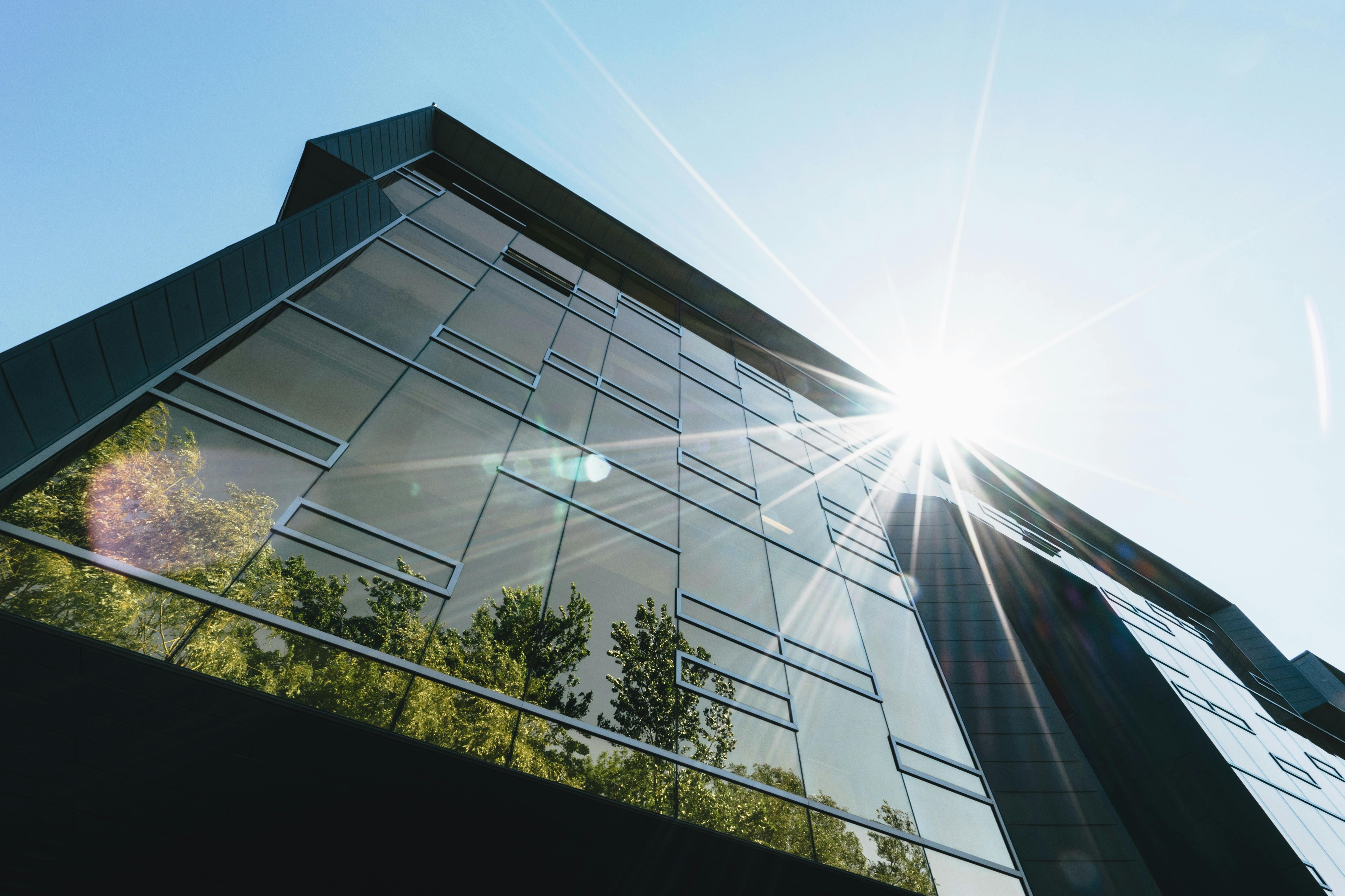Green Workspace: 5 trends to watch in 2024
