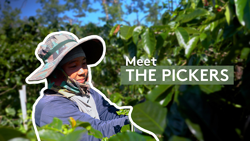 03. MEET THE PICKERS - Slow Roots