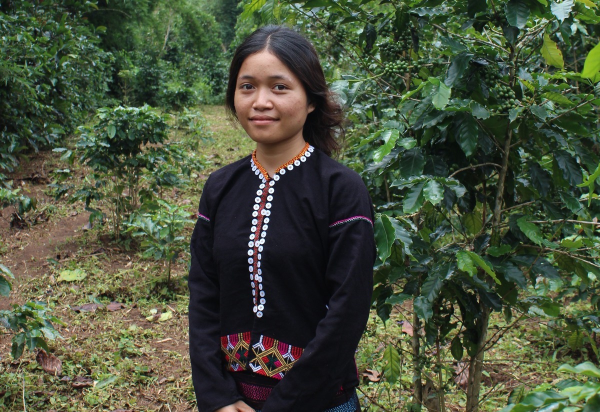 What happens when coffee meets a forest?
