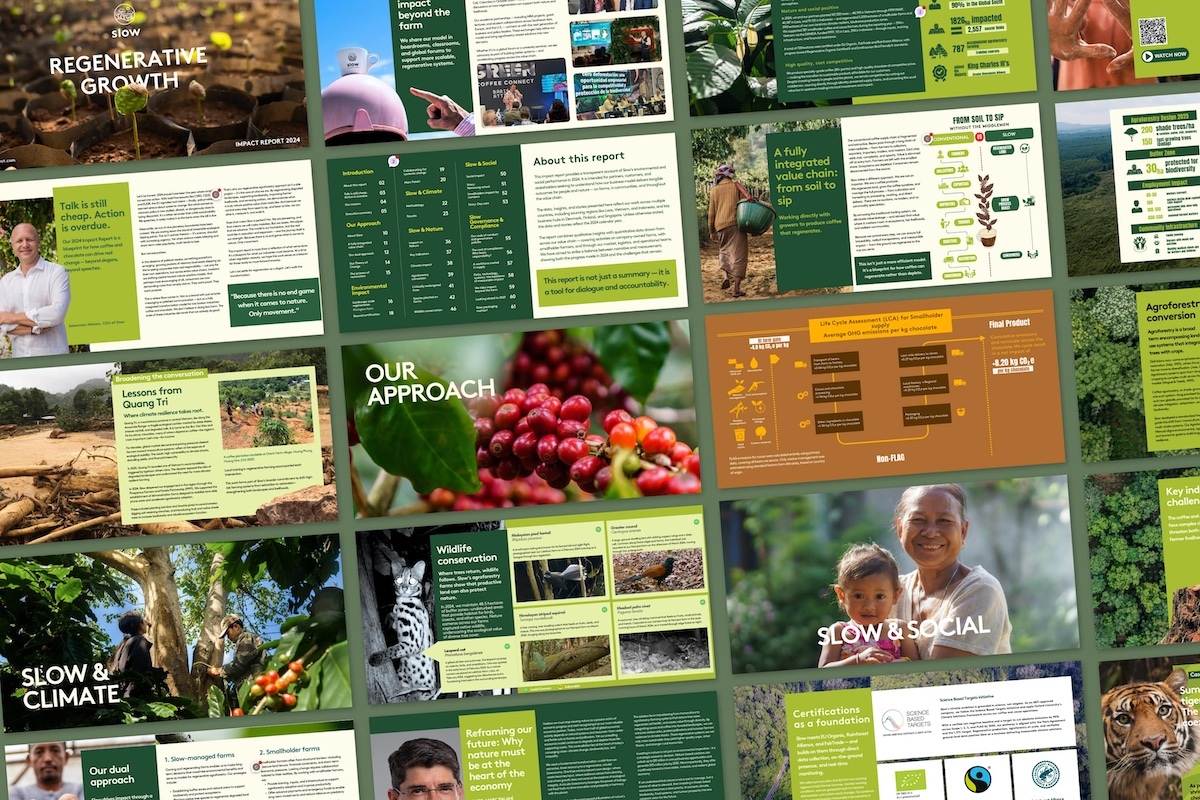 Impact Report by Slow Forest 2025-low res