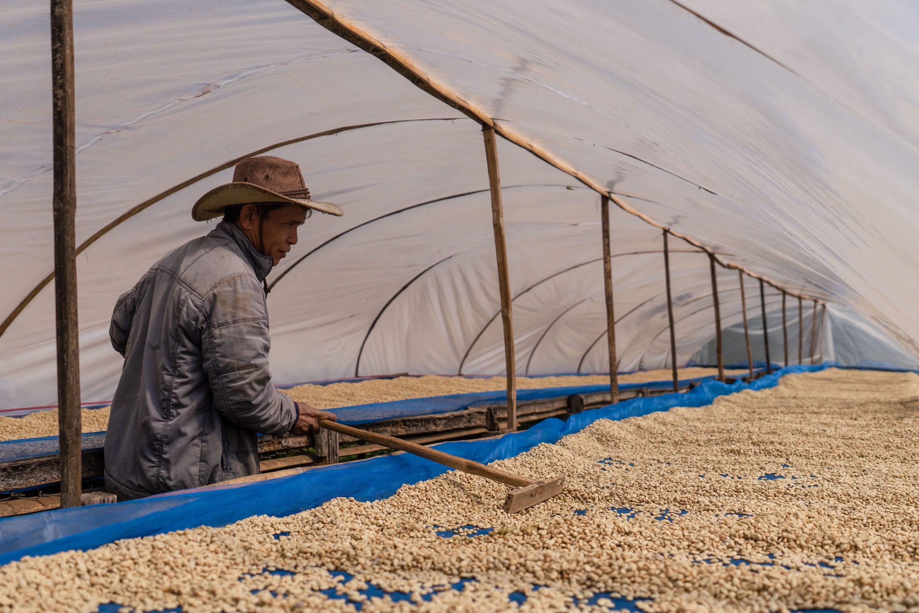 Processing Coffee by Slow - Farmer Mr. Phetsamai (Phoumone)