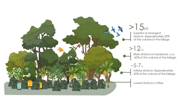 Slow Agroforestry