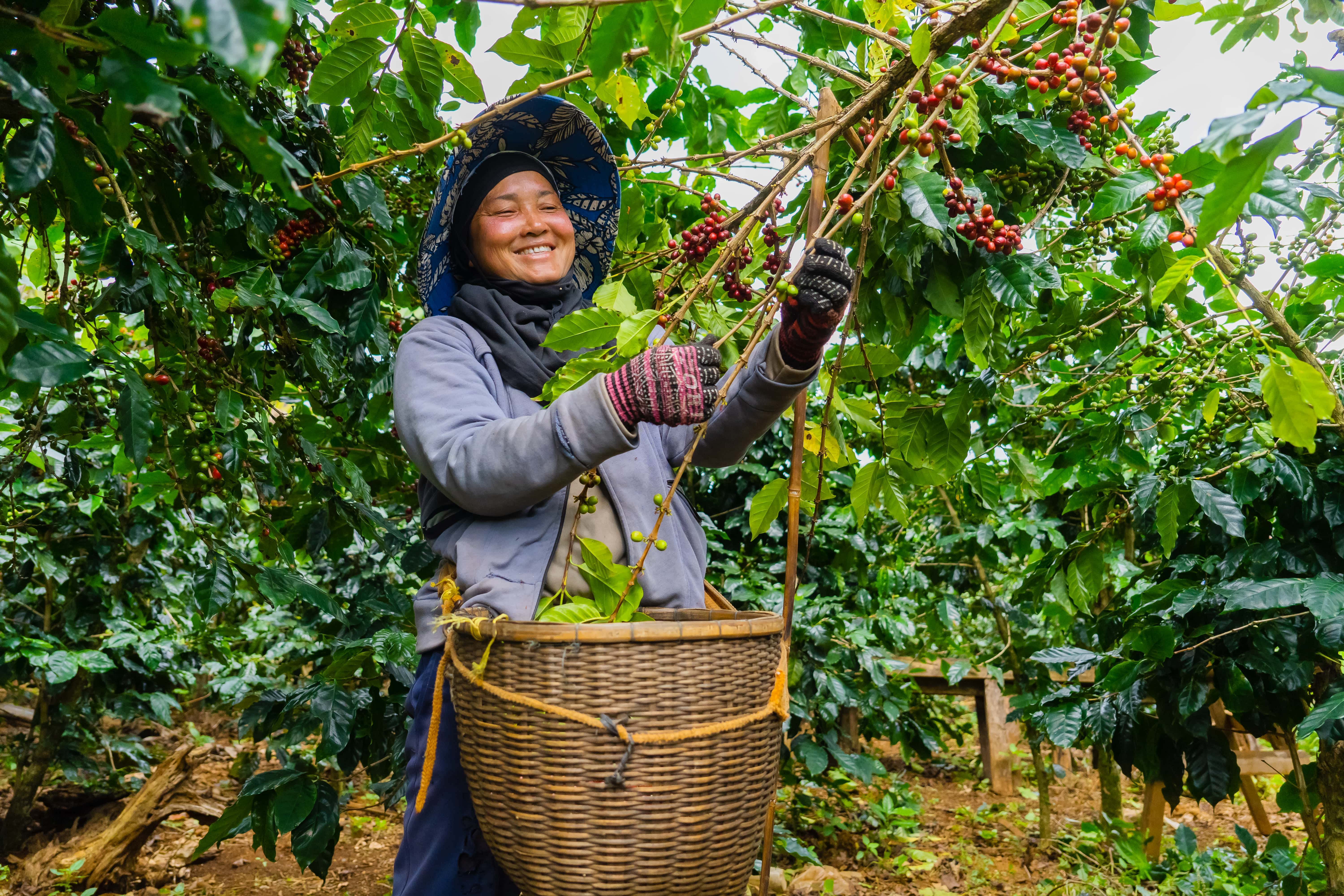 Slow Coffee for Large Business