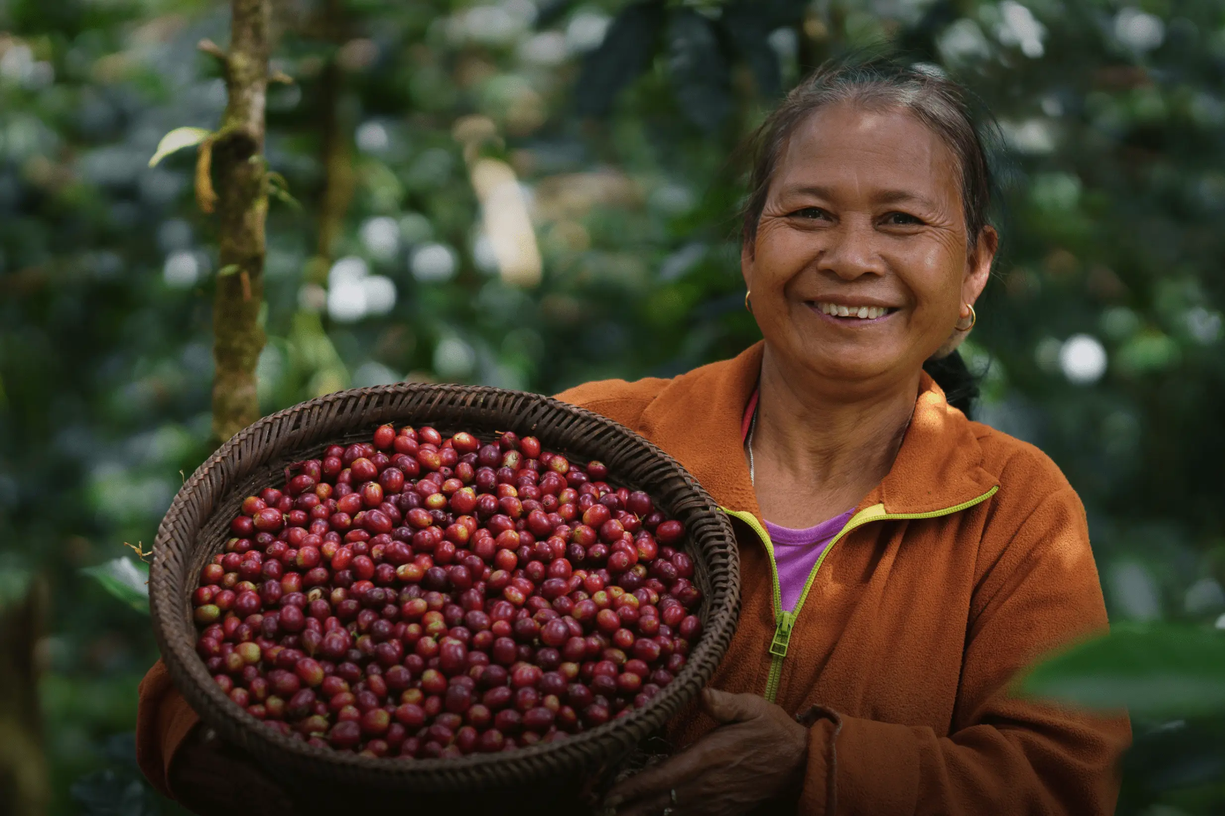 Learn How Slow coffee spreads to 1000 farmers