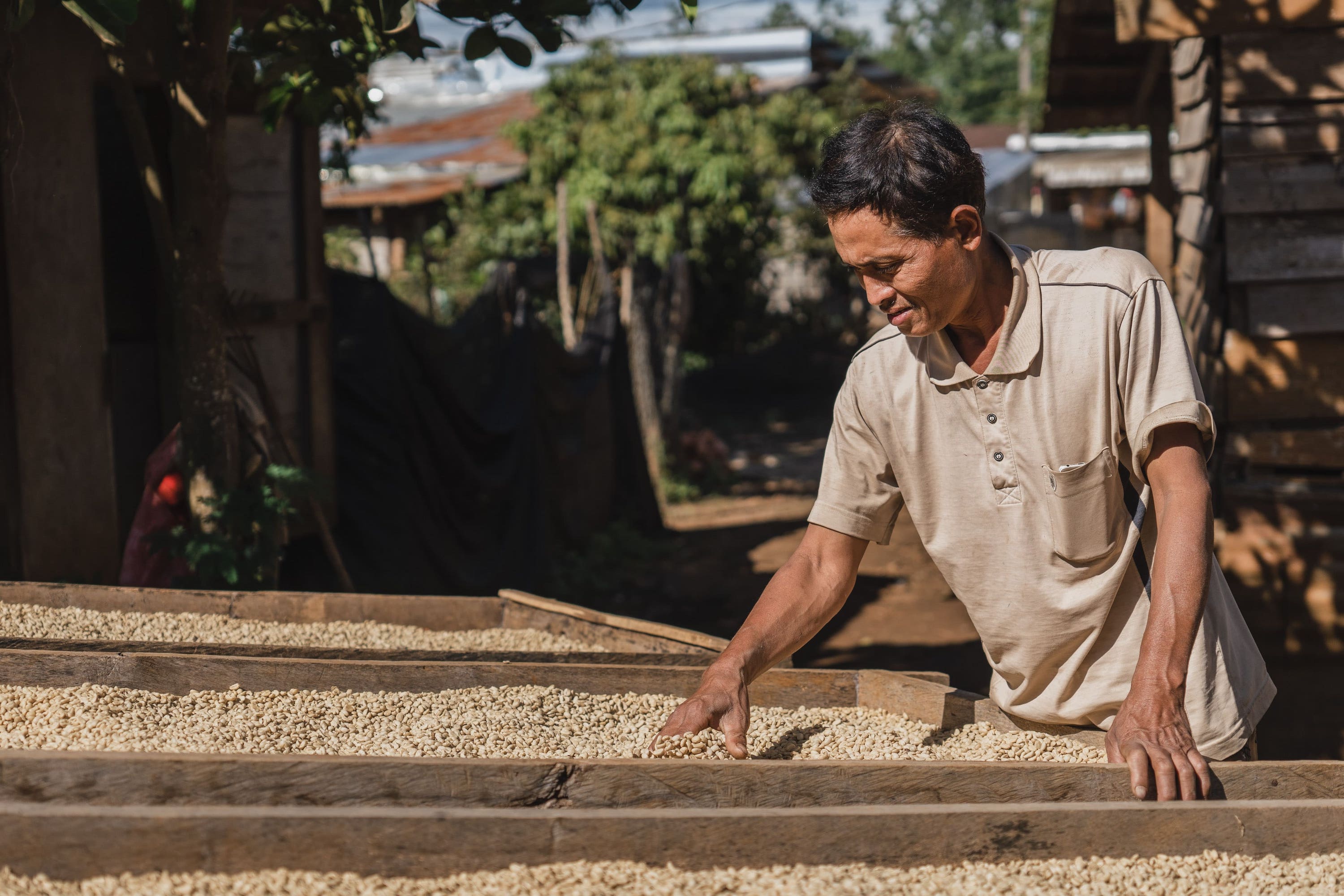 Slow Farmers Stabilizing income