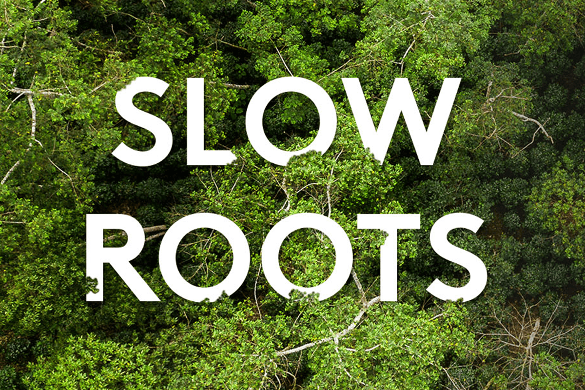 Slow Roots Banner 1200 x 800