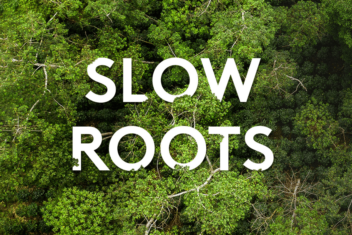 Slow Roots small banner
