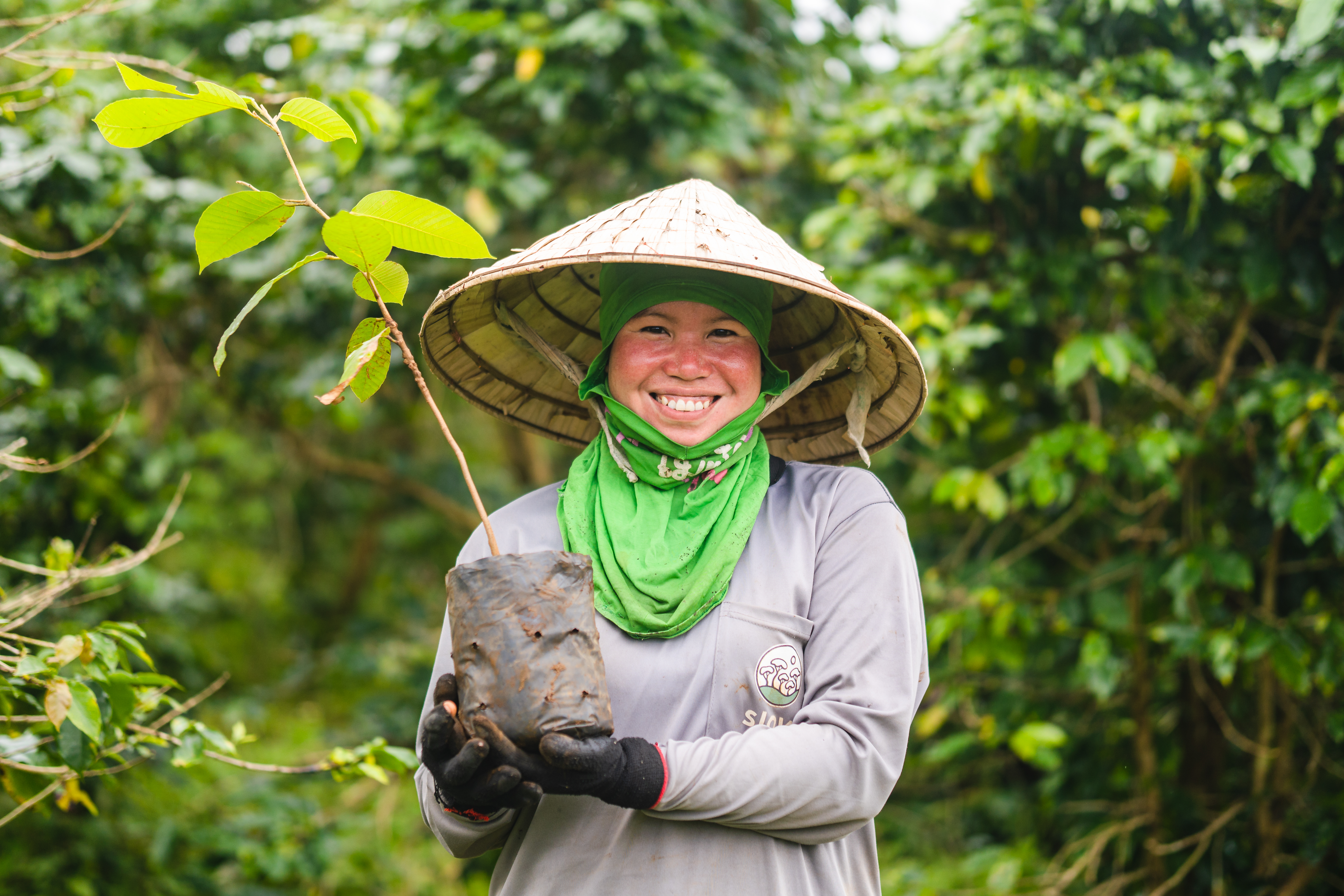 Trees planting at Phouluang farm Coor plot19